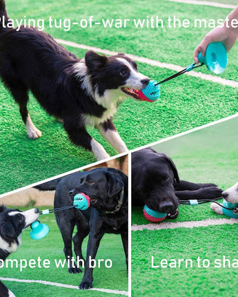 Interactive Dog Toys Tug of War, Mentally Stimulating Toys for Dogs - Green Light Youth LLC