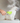 3 in 1 Electric Steam Spray Cat or Dog Hair Brush - Green Light Youth LLC