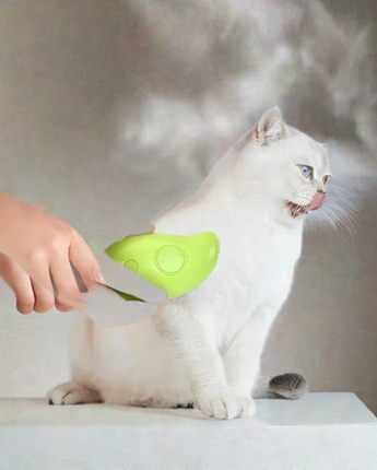 3 in 1 Electric Steam Spray Cat or Dog Hair Brush - Green Light Youth LLC