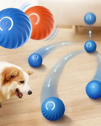 Smart Bounce Dog Ball